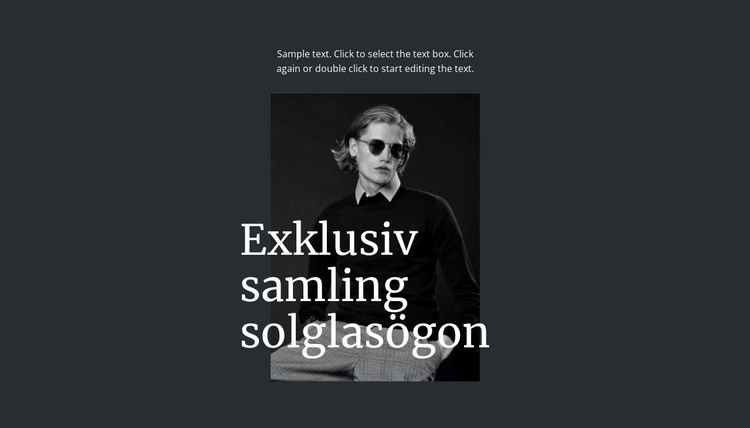 Exklusiv samling solglasögon Hemsidedesign