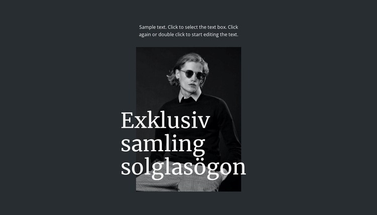 Exklusiv samling solglasögon Webbplats mall