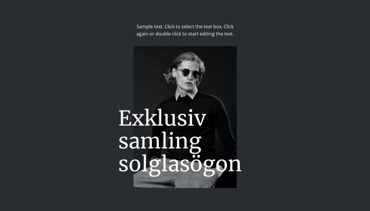 Exklusiv samling solglasögon WordPress -tema
