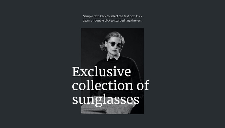 Exclusive collection of sunglasses Web Design