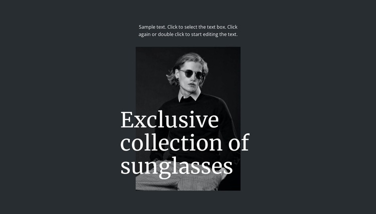 Exclusive collection of sunglasses Web Page Design