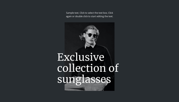Exclusive collection of sunglasses Website Builder Software
