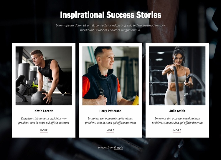 Inspirational success stories Website Design
