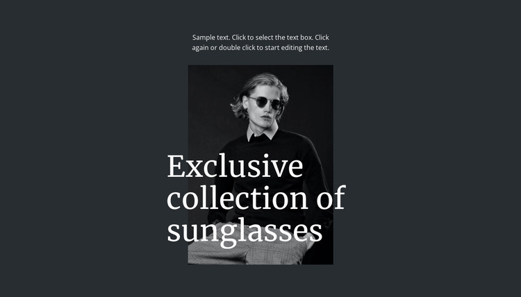 Exclusive collection of sunglasses Website Design