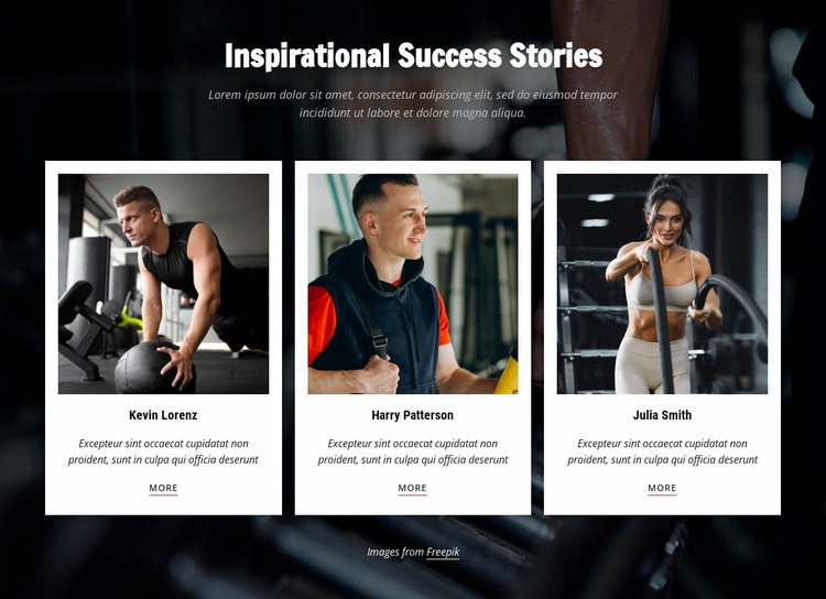 Inspirational success stories Website Mockup