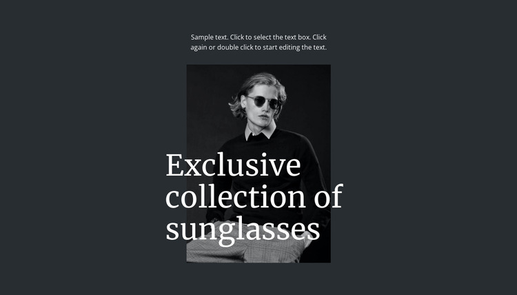 Exclusive collection of sunglasses Website Mockup