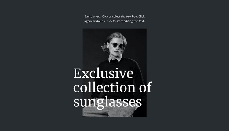 Exclusive collection of sunglasses Landing Page