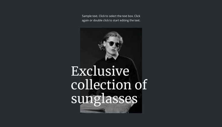 Exclusive collection of sunglasses Wix Template Alternative