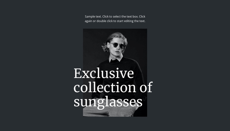 Exclusive collection of sunglasses WordPress Theme