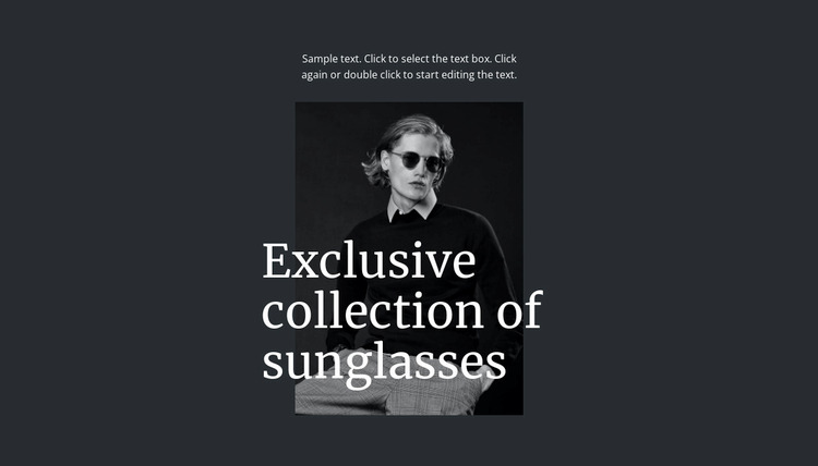 Exclusive collection of sunglasses WordPress Website Builder