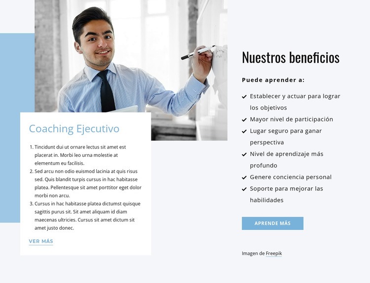 Ejecutar coaching Diseño de páginas web