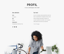 Profil De Concepteur Web - Modèle De Page HTML