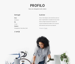 Profilo Del Web Designer Pagina Di Destinazione
