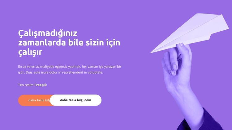 küresel çözüm CSS Şablonu