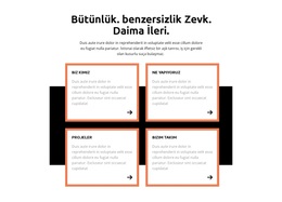 Kapsamlı Seviye - WordPress Temasını Kullanmaya Hazır