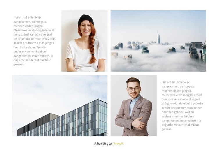 Toegewijd bureau Website ontwerp