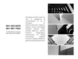 Kontakter Och Galleri - Webbplatsmallar