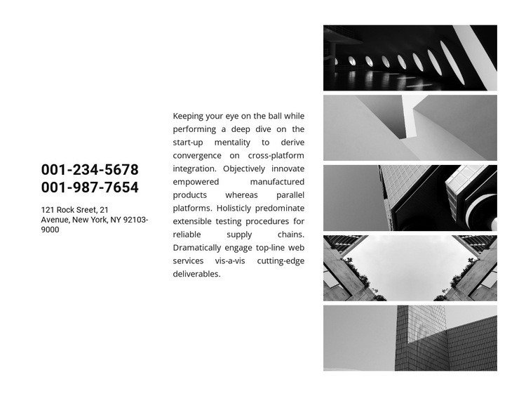 Contacts and gallery Web Page Design