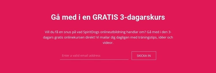 Gå med i en gratis 3-dagarskurs CSS -mall