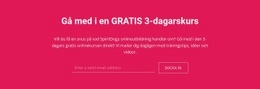Gå Med I En Gratis 3-Dagarskurs - Enkel Webbplatsmall