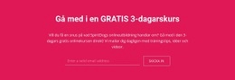 Gå Med I En Gratis 3-Dagarskurs - Gratis Css-Tema