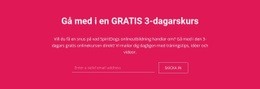 WordPress-Tema Gå Med I En Gratis 3-Dagarskurs För Alla Enheter