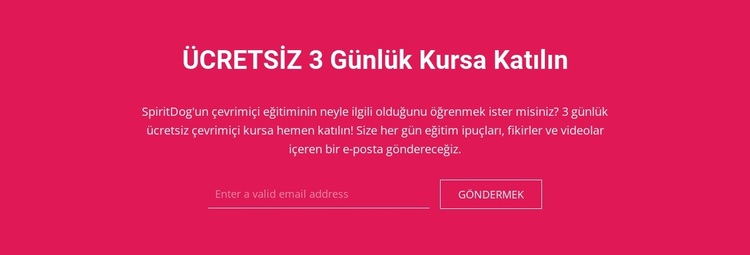 3 günlük ücretsiz kursa katılın WordPress Teması