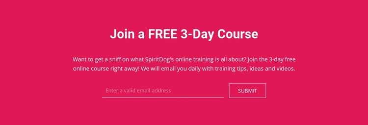 Join a free 3-day course WordPress Theme