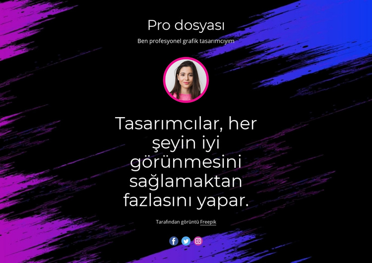 Profesyonel web sitesi tasarımı WordPress Teması