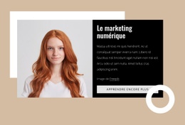 Superbe Conception Web Pour Consultants En Marketing