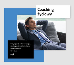 Twórz Potężne Cele - Łatwy W Użyciu Motyw WordPress