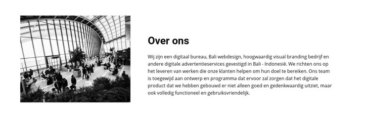 Over presentatie Website mockup