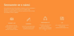 Zjistěte Více O Nás – Návrh Webových Stránek Šablon