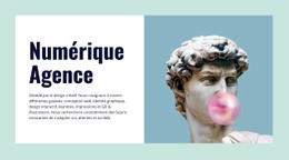 Agence Numérique