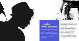Les Meilleurs Festivals De Musique – Thème WordPress Et WooCommerce