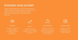 Tudjon Meg Többet Rólunk – Webhelytervezési Inspiráció