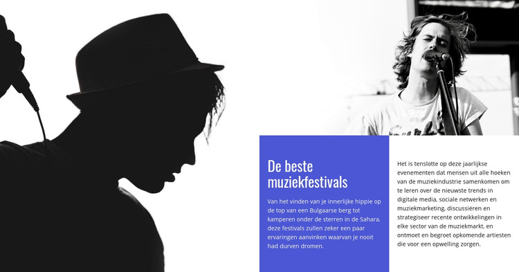 De beste muziekfestivals HTML-sjabloon