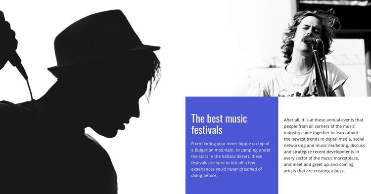 The best music festivals  One Page Template