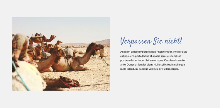 Reise in die Wüste Website-Modell