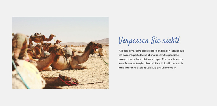 Reise in die Wüste WordPress-Theme