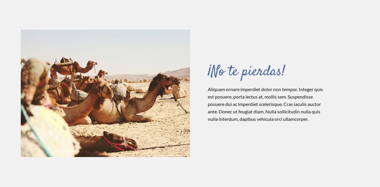 Viajar por el desierto Maqueta de sitio web