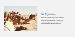 Página Web De Viajar Por El Desierto