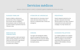 Explore Nuestros Servicios Médicos: Plantilla De Sitio Web Sencilla