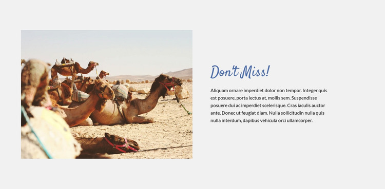 Travel on Desert Homepage Design