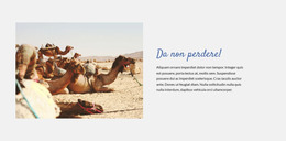 HTML Reattivo Per Viaggia Nel Deserto