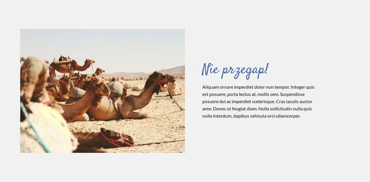 Podróżuj po pustyni Makieta strony internetowej
