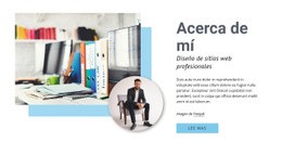 Diseño Web Profesional