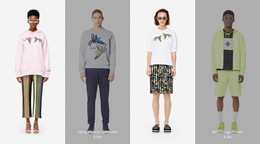 Flying Phoenix - Custom Web Page Design