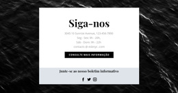 Estamos Em Todas As Redes Sociais - Tema WordPress Fácil De Usar