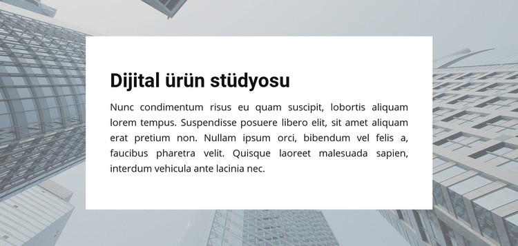 Dijital Ürün Stüdyosu CSS Şablonu